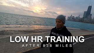 Maffetone Low HR Training After 838 Miles  Houston Marathon Race Predictions [upl. by Decima824]