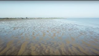 De toekomst van de Waddenzee zeespiegelstijging bodemdaling en sedimentatie in de Waddenzee [upl. by Hoeve412]