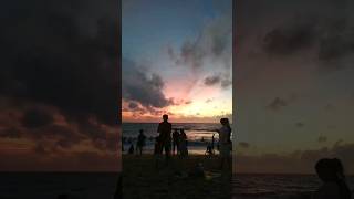 Browns Beach Negombo  Sri Lanka travel shortvideo [upl. by Claus]