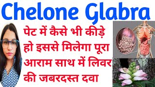 Chelone Glabra  Chelone Glabra Homeopathic Medicine  पेट में कीड़ों की अचूक दवा  लिवर की दवा [upl. by Cherida]