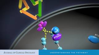 Deciphering the Role of PI3K Mutations in HER2 Breast Cancer [upl. by Luar]