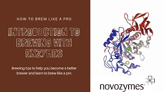 Enzymes in Brewing  Basic Introduction  novozymes and BeerCocomau [upl. by Arotal]