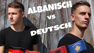 ALBANISCH vs DEUTSCH CHALLENGE MEGA LUSTIG   Albanischer Cousin  Albion Lama [upl. by Kuhn25]