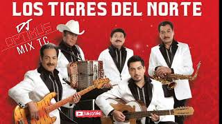 LOS TIGRES DEL NORTE MIX🎷🪗 RANCHERAS MIX 🔥 BY djoptimuseloriginal [upl. by Ollehcram921]