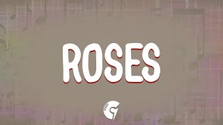 The Chainsmokers  Roses Lyrics ft ROZES [upl. by Lennad]