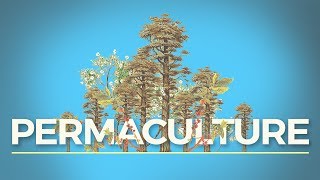 What is Permaculture And Why Should I Care [upl. by Crow340]