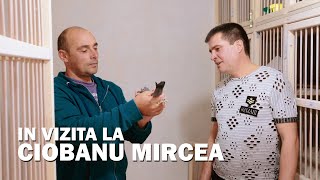 Interviu Ciobanu Mircea [upl. by Millhon200]