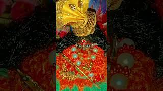 Vrindavan Ke Banke Bihari Laddu Gopal short [upl. by Brenda]