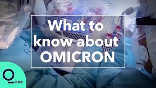 Everything We Know About the Omicron Variant [upl. by Lach]