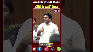 శాసన మండలిలో లోకేష్ ఆగ్రహం  Nara Lokesh Fires on YCP Leaders At Council  FAST NEWS [upl. by Hartzel271]