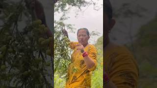 Aamal tipana jangal tira short shortvideo villagelife [upl. by Nohsad]