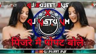 PINJAREMEINPOPATBOLEDJ SUJEET SVS X Dj Vistu VM production CWA mp3 song [upl. by Zeugirdor]