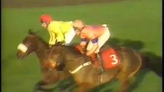 1994 New Years Day Hurdle Windsor [upl. by Annaoj]