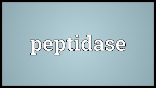 Peptidase Meaning [upl. by Katina]