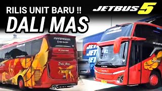 Rilis  Dali Mas Jetbus 5 SHD Hino RM 280 Karoseri Adiputro 2024 [upl. by Ahtnams]