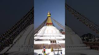 Buddh Tipling 21112024 Boudha3 [upl. by Aronoff]