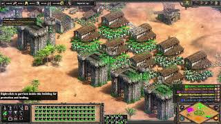 Celtic Assault  Age of Empires 2 Definitive Edition [upl. by Bunni685]