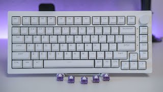 ⌨️ Modified AKKO 5075S ShineThrough  Tecsee purple panda typing sounds [upl. by Hoyt]