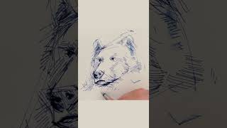 Digital Art Showcase Creating a Bear Drawing on Paper with Ink [upl. by Gleeson]