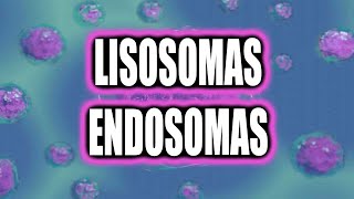 ENDOSOMAS Y LISOSOMA TODO SOBRE ESTE TEMA👀👀👀 [upl. by Ierbua]