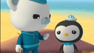 Octonauts s1e16 enemy anemones [upl. by Georgina]