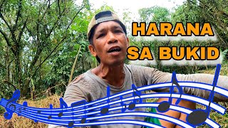 Harana sa bukid  Naglagay ng pataba  BUHAY BUKID [upl. by Lalad534]