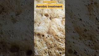 Aerobic treatment  biological treatment  MBBR tank  ETP  water treatment [upl. by Anigriv114]