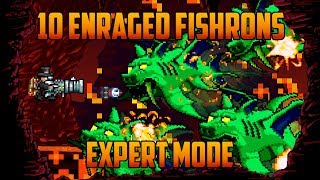 Terraria  10 Enraged Duke Fishrons in Hell Bug [upl. by Aronas421]