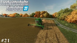 Heute Sojabohnen🚜Elmcreek 21 Landwirtschafts Simulator 22 [upl. by Thurnau]