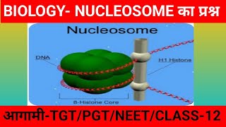 structure of nucleosomedna pakaging sturcture of nucleosome class 12Nucleosome tgt pgt neet [upl. by Richardson]