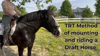 TRT Mounting Method and Riding a Draft Horse finally [upl. by Harli808]