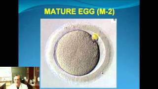 Webinar  Geoffrey Sher MD  Optimizing EggEmbryo Quality in IVF [upl. by Calvo]