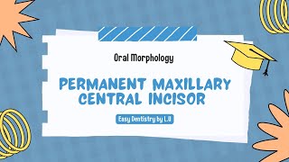 Permanent Maxillary Central incisor Morphology and Important points Oral biology [upl. by Lacee]