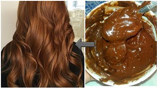 Chocolate Brown with Caramel and Honey Blonde Highlights trendingonshorts [upl. by Ulland]