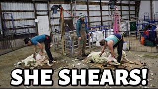 SHE SHEARS  night shearing with the ladies winter prep with hubs amp our down ewe is UP Vlog 755 [upl. by Werda901]