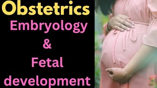 Embryology and fetal developmentobstetrics medical nursing [upl. by Anthiathia]