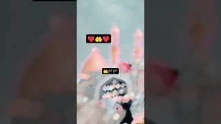 Syed Badshah Hussainnadeemsarver molahussain molahussainstatus shortvideo youtubeshorts ❤️🕋🏴🕋 [upl. by Ojillib398]