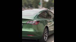 CAXVINYL Factory Direct HD PET Liner Glossy Sonoma Green Car Wrap [upl. by Laetitia]