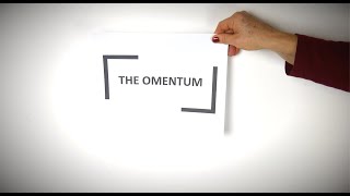 What Is The Omentum [upl. by Ahsiekit]