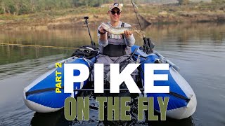 Pike on the Fly 1  Part2  Pesca ao Lúcio Real com streamers [upl. by Bartle]