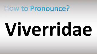 How to Pronounce Viverridae [upl. by Dahs417]