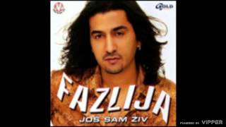 Fazlija  Dosta je tuge i bola  Audio 2003 [upl. by Nyleve]