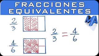 Fracciones equivalentes  Explicación gráfica y numérica [upl. by Ynabe487]