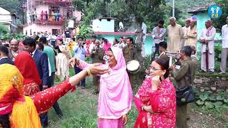 Pahari dance video in marriage shimla wedding Pahari Nati  himachali nati dance nati dance song [upl. by Silohcin]