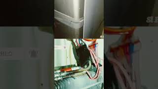 Refrigerator Leaking Water on the FloorHow to Clean a Drain Line shorts❄️💦🤣 [upl. by Araid]