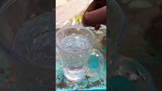 crazy experiment with hot water and fevikwik shortvideo experiment nature shorts [upl. by Arracat639]