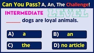 Articles A An The Intermediate level  Articles in English Grammar  Articles Practice Set test [upl. by Henebry]