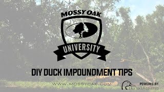 DIY Duck Impoundment  Building a Duck Hole [upl. by Nihhi]