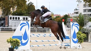 À vendre hongre 7 ans CSO par Balou du rouet et Voltaire [upl. by Lubet]