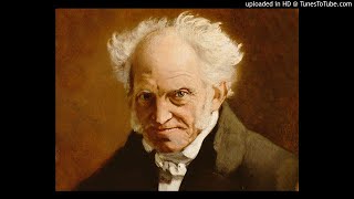 Arthur Schopenhauer quotAforismi e frammentiquot quotParerga e paralipomenaquot [upl. by Arjan]